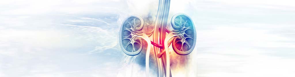 Kidney & Hypertension Specialists, P.A. gallery